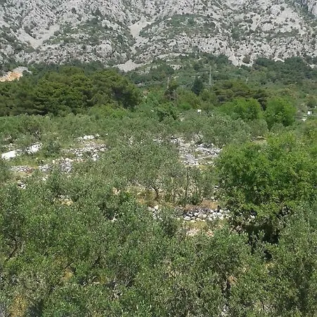 Bajna Διαμέρισμα